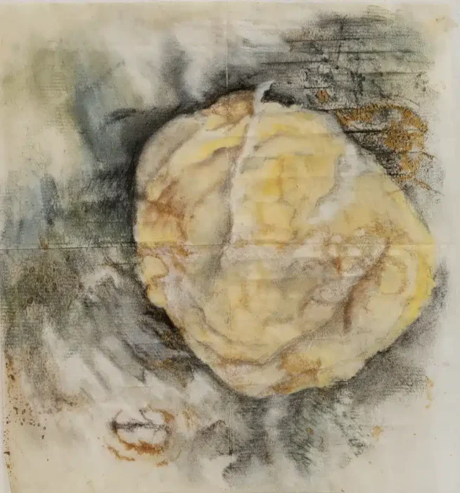 מיכל בן לולו(27)