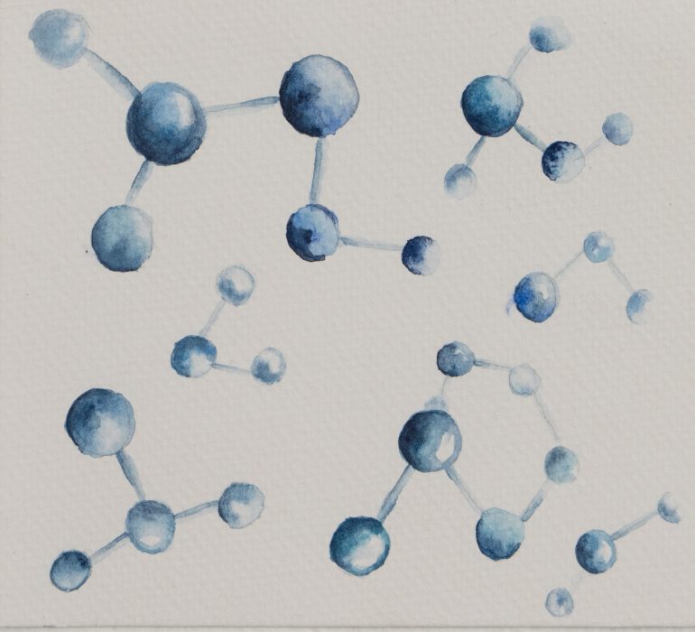 חני קיבלביץ(3)