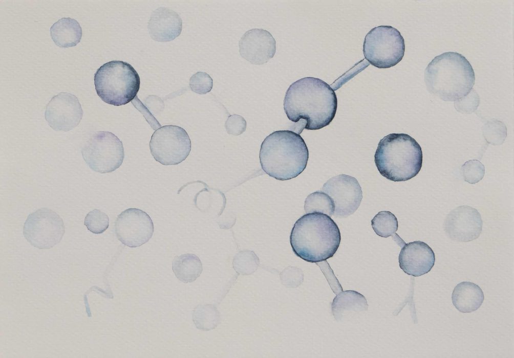 חני קיבלביץ(5)