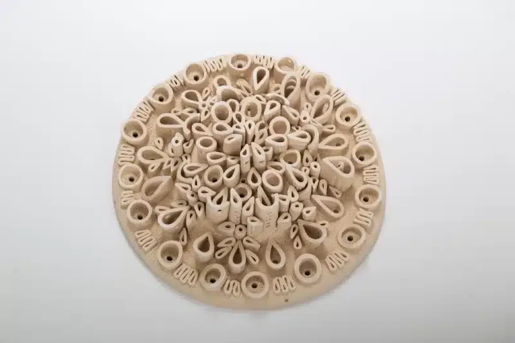 רינה לקומצוב