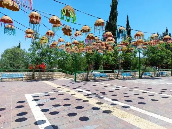 מייצג הסלים