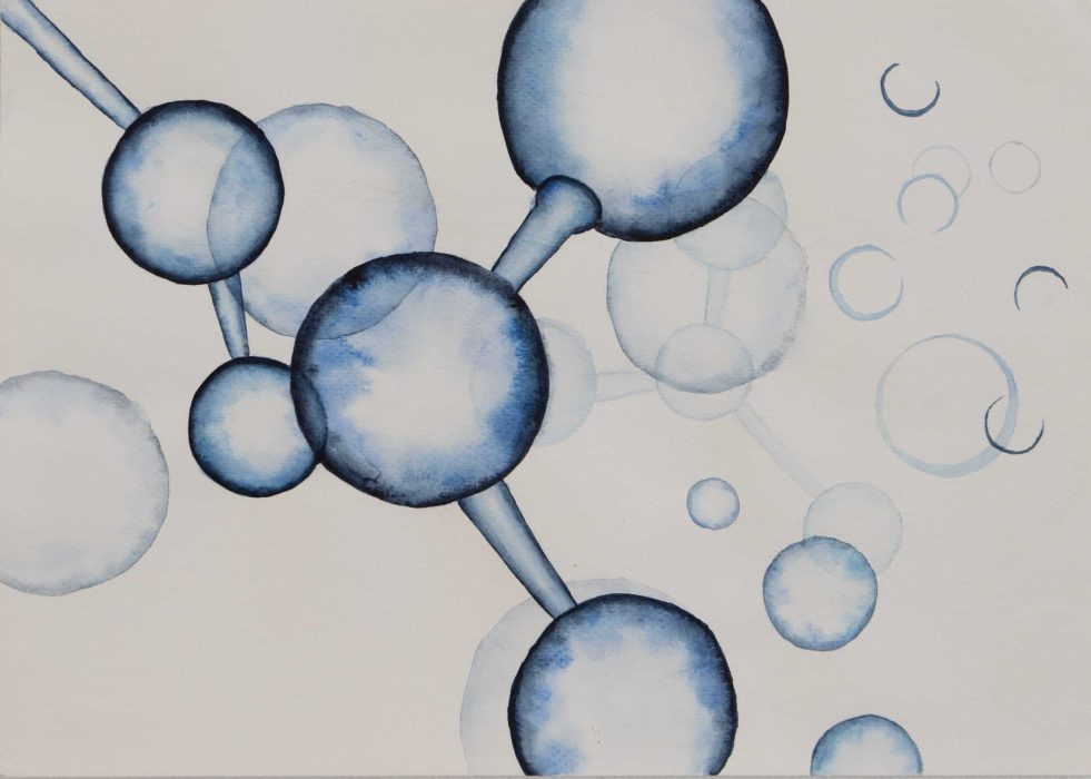 חני קיבלביץ(1)