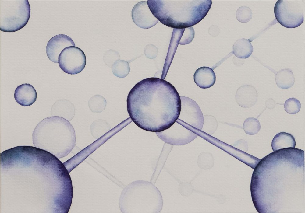 חני קיבלביץ(4)