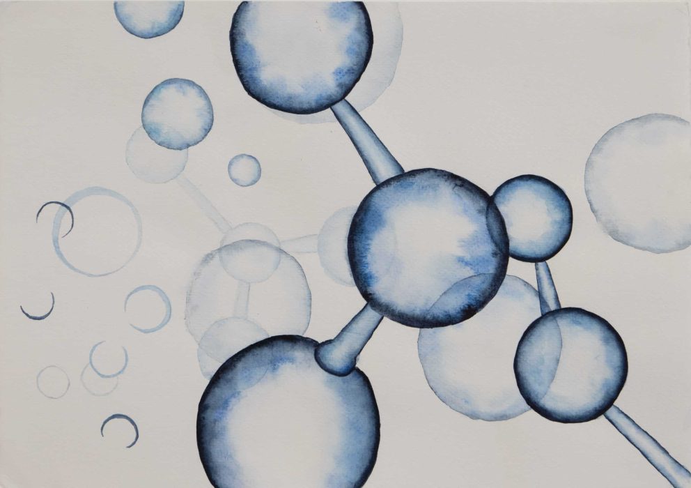 חני קיבלביץ(6)