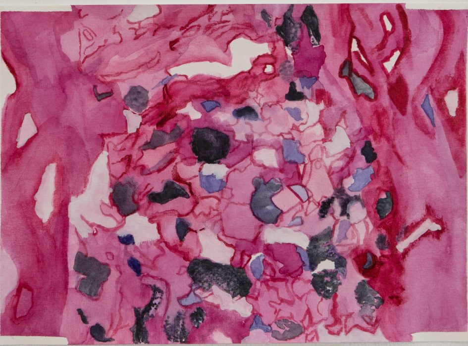 לינדה גרודנר(5)