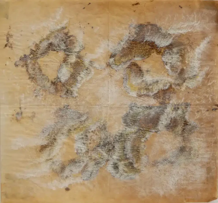 מיכל בן לולו(20)