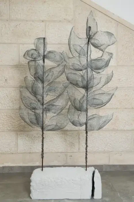 דבורה קיין