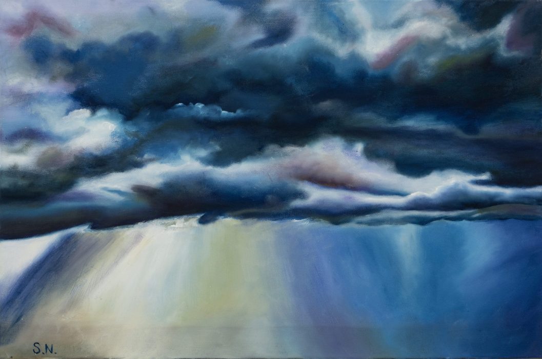 שני נויימן(1)